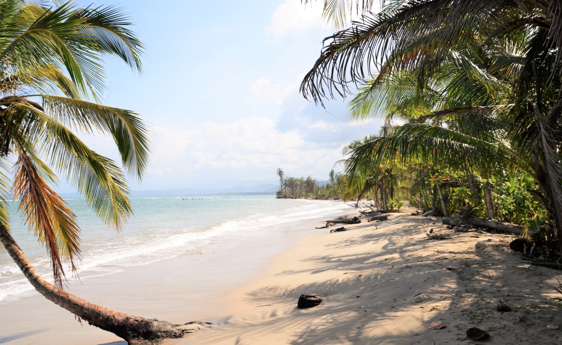 Ein Sandstrand mit Palmen auf Costa Rica