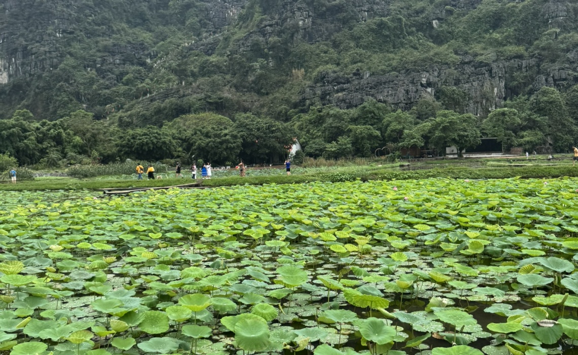 Tam Coc - Lotusbl&uuml;ten Bl&auml;tter am Wasser, Boot mit Menschen im Hintergrund