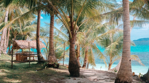 Duke Island Strand mit Palmen   