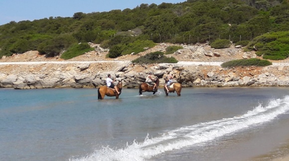 Strand mit Pferden und Reiter 