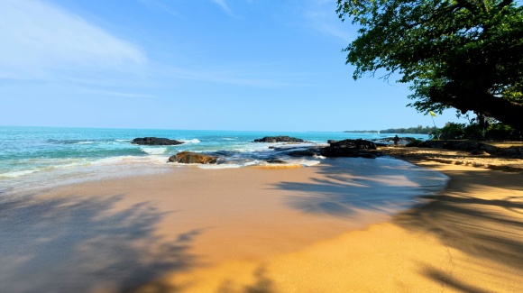 Strand und Meer mit B&auml;umen auf Khao Lak