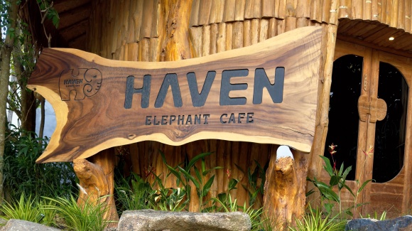 Lokalschild aus Holz mit der Aufschrift Haven Elefant Cafe