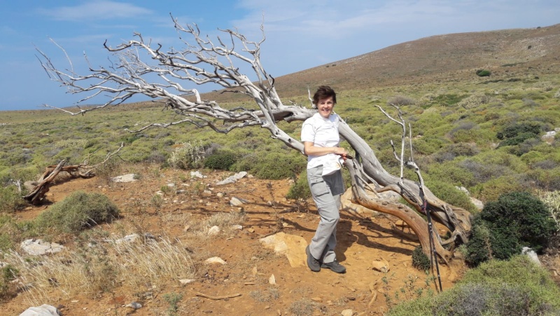 Manuela auf einer Wanderung vor einem umgest&uuml;rzten Baum