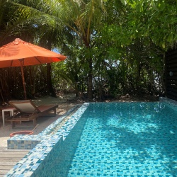 Foto vom Pool der Beachvilla mit Liegestuhl, Sonnenschirm und Palmen