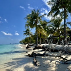 Insel Kuredu Strand